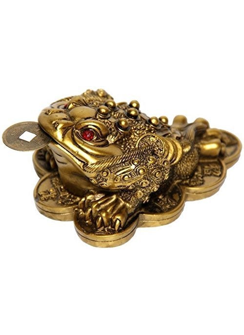 RIPE INDIA Feng Shui Money Frog Three Legged Toad Hold Two Ignots On A Pile of Money for Wealth Luck
