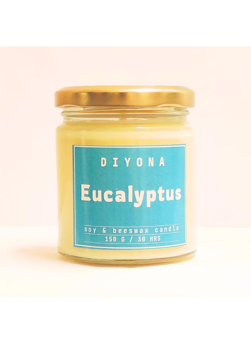 DIYONA Eucalyptus Scented Candle Made with Beeswax Soywax and Quality Fragrance Oils for Aromatic ambeince 150gm Content Endures for 30hours