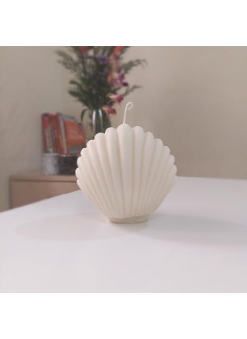 Virgo Creations Shell Candle Soy Wax Blend OffWhite Color Vanilla Scent HandPoured Decorative Candle for Home Decor Gifting Festive Parties Size LxBxH 107474 cm Pack of 1