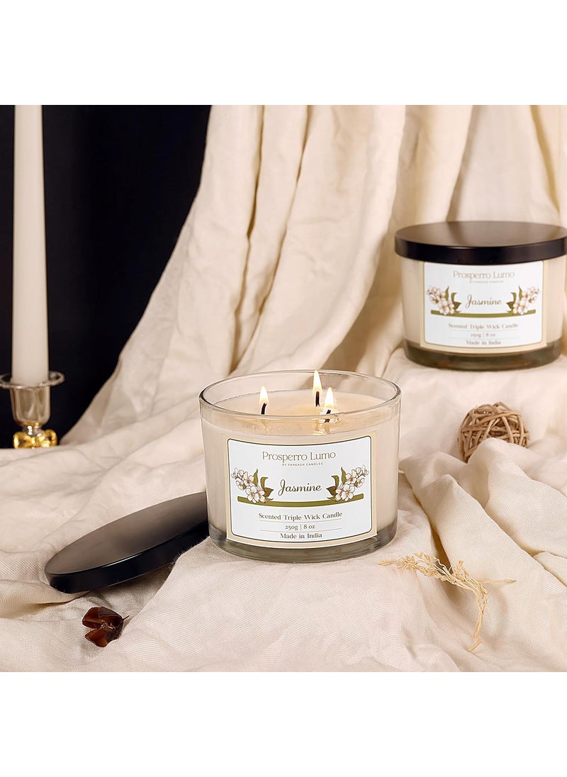 PROSPERRO LUMO by Parkash Candles 3 Wick Soy Wax Scented Candle 35 Hours Burn Time Long Lasting Premium Candles Ideal for Home Dcor Gifting Aromatherapy Jasmine