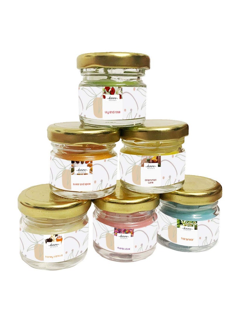 divine senses Wax Scented Candles Gift Set Of 6 Candle Highly Fragranced Pack Mini Jars Pack 6Mini Vanilla Honey Cinnamon Wine Rose Lily Sandalwood Rose Floral Love