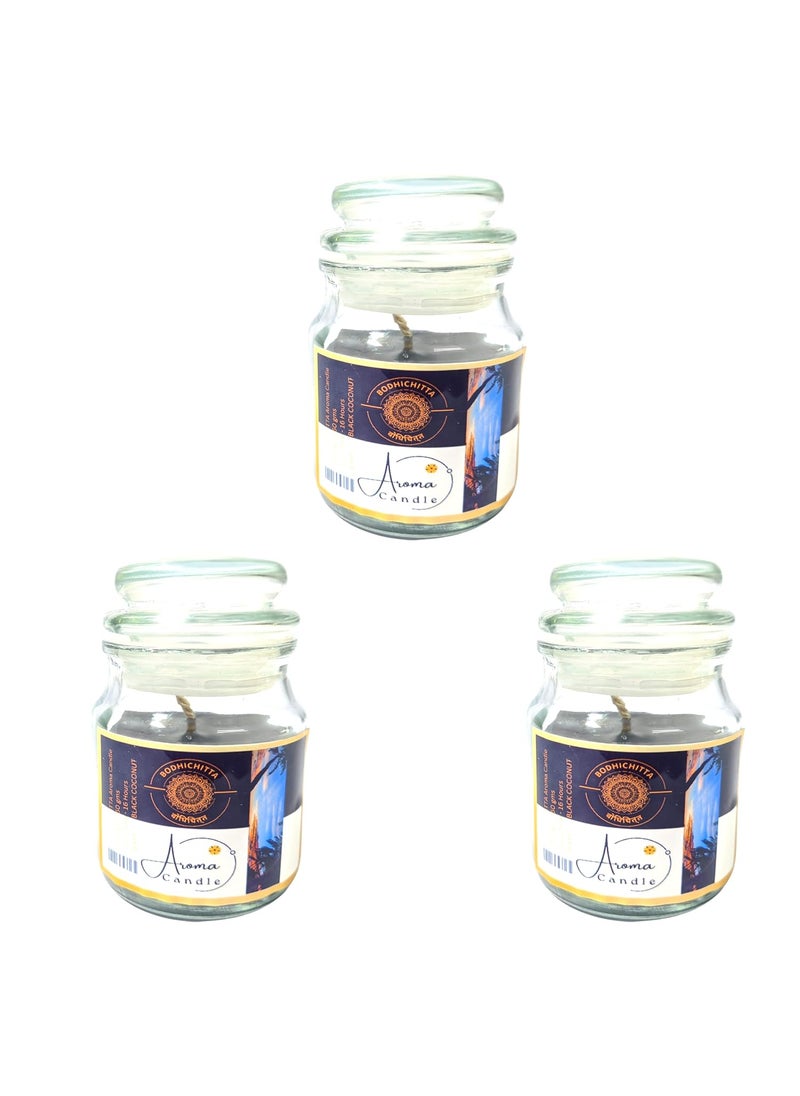Bodhichitta Black Coconut Scented Glass Candle Pure Soy Wax Aroma Candle Pack of 3