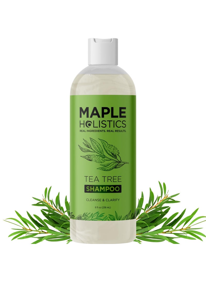 Clarifying Shampoo for Build Up & Oily Hair - Tea Tree Shampoo for Men and Women with Rosemary Essential Oil for Oily Hair and Scalp - Color Safe Vegan Sulfate Silicone & Paraben Free (8 Fl Oz)