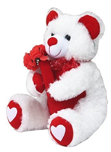 AMARDEEP White Teddy with Roses 40cms