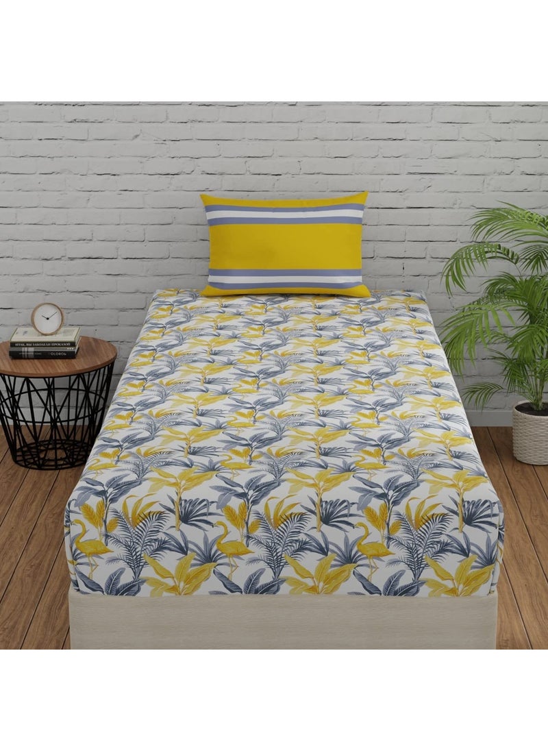 Huesland by Ahmedabad Cotton 144 TC Elastic Fitted Bedsheet for Single Cot Bed Pure Cotton with 1 Pillow Cover 36 x 78 inches Flamingo Stripes Yellow Grey