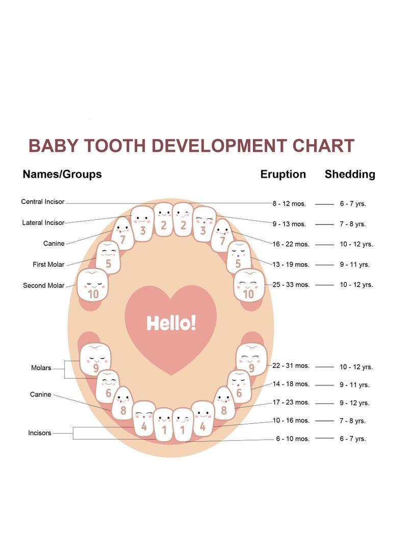 Adorable Wooden Tooth Fairy Box for Kids, Perfect for Storing Baby Teeth, Fetal Hair, and Umbilical Cord