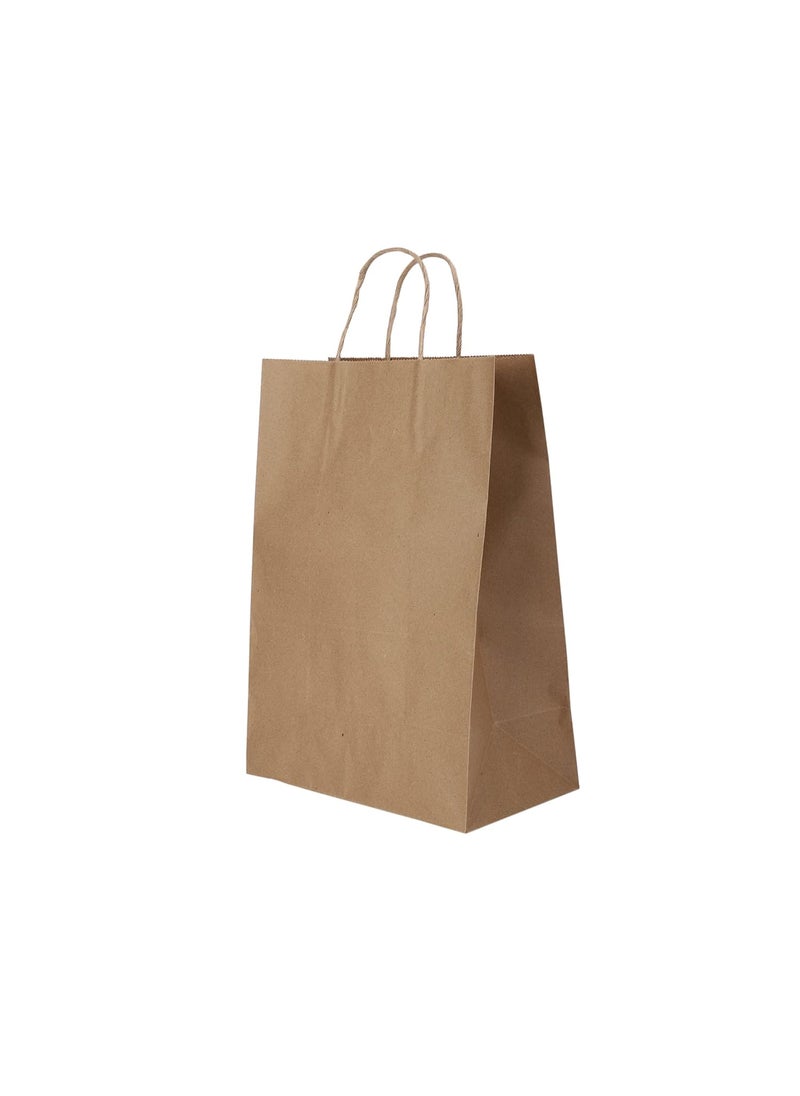 e kysa basics Brown Kraft Paper CarryGiftClothGrocery Recycled Eco Friendly Bags with handles 10 55 14 inches Pack of 15 pcs