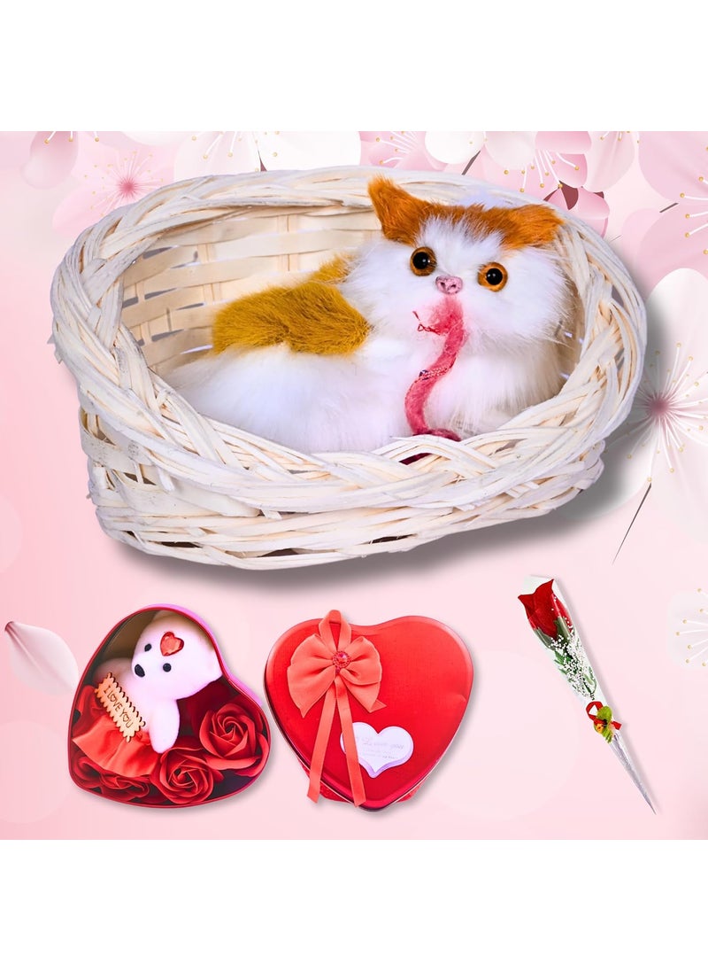Valentines Day Gift Set with Plush Cat in Wicker Basket Heart Box and Rose Romantic Holiday Bundle