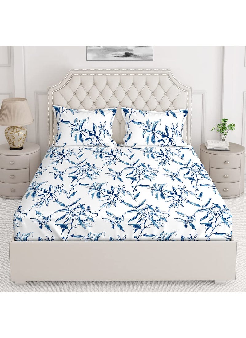 Layers Lumina 100 Cotton Bedsheet Set for All Seasons Lightweight Moisture Absorbent Machine Washable Easy to Care Gift for Housewarming More 140 TC Queen Size Light BlueBrown
