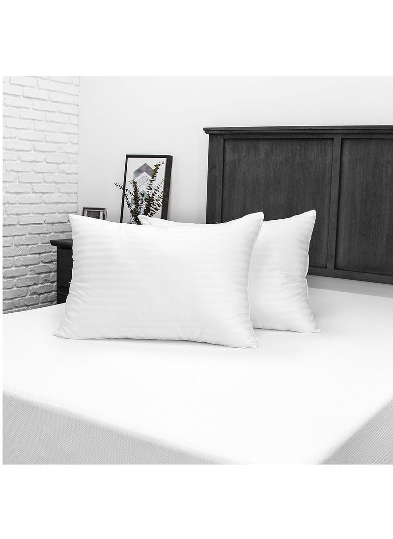 JDX Premium Hotel Quality Hollow Fiber Pillow 17x27 Inches Set of 2 B096PQQ3S5