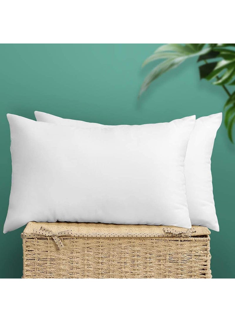 JDX Premium Hotel Quality Hollow Fiber Pillow 17x27 Inches Set of 2 B096PQQLT3