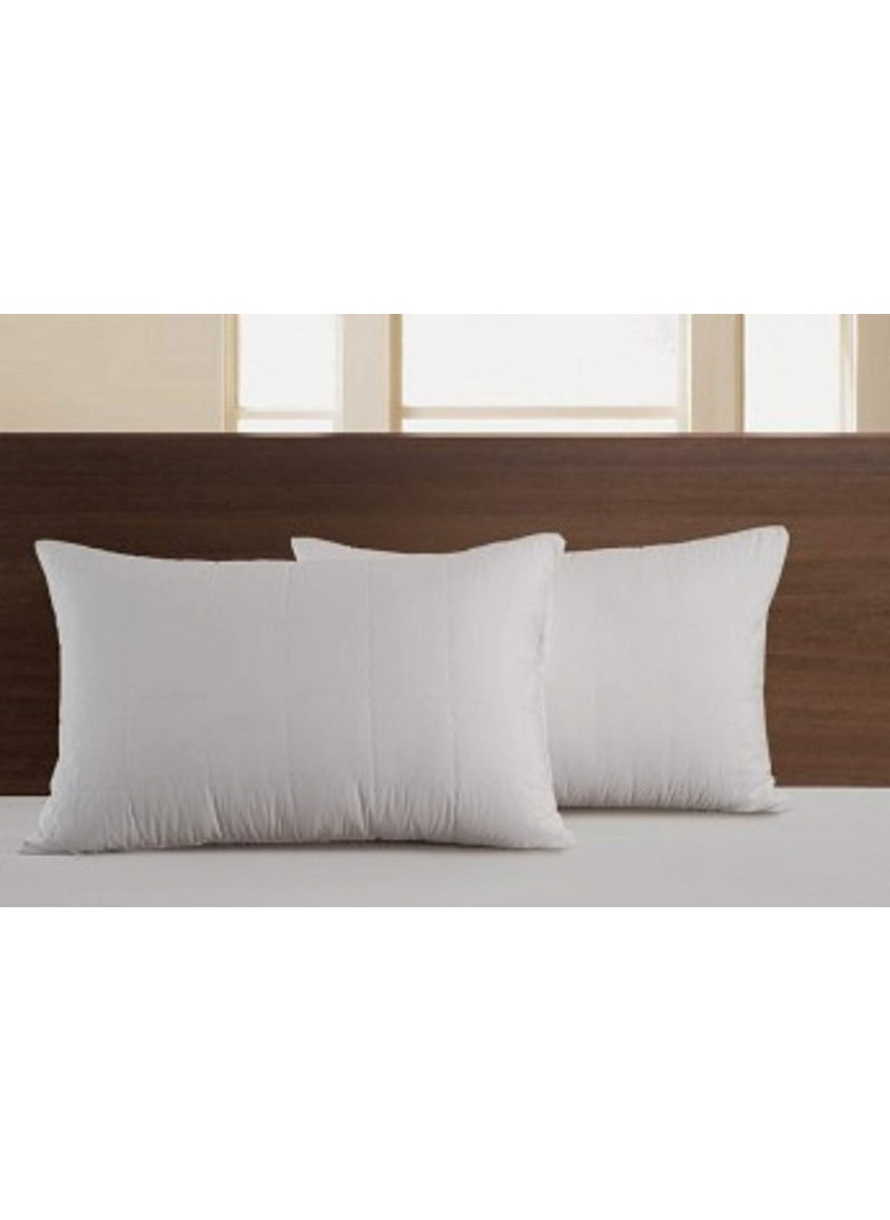 JDX Hotel Quality Sleeping Fiber Pillow Set of 248x61