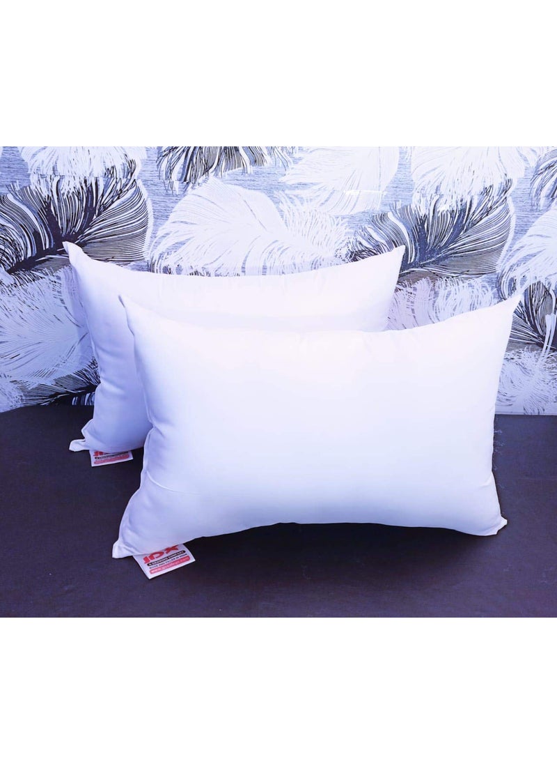 JDX Premium Hotel Quality Hollow Fiber Pillow Set of 216x24 B075R5Q1CH
