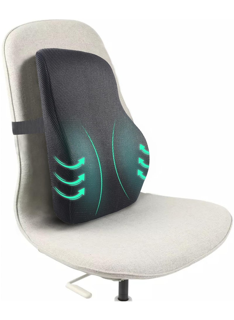 Sleepsia Lumbar Support Memory Foam Orthopedic Back Cushion Back Rest Cushion for Car Chair and Office Chair 175 L 155 W 55 H Black