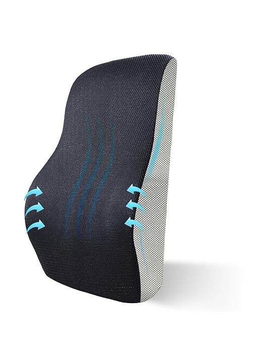 ORANCLE Back Rest for Chair Car with Breathable Fabric Adjustable Strap Lumbar Support Back Rest Cushion for Back Pain Pillow for Sitting Posture Correction Back Pain Relief Products BlueGrey