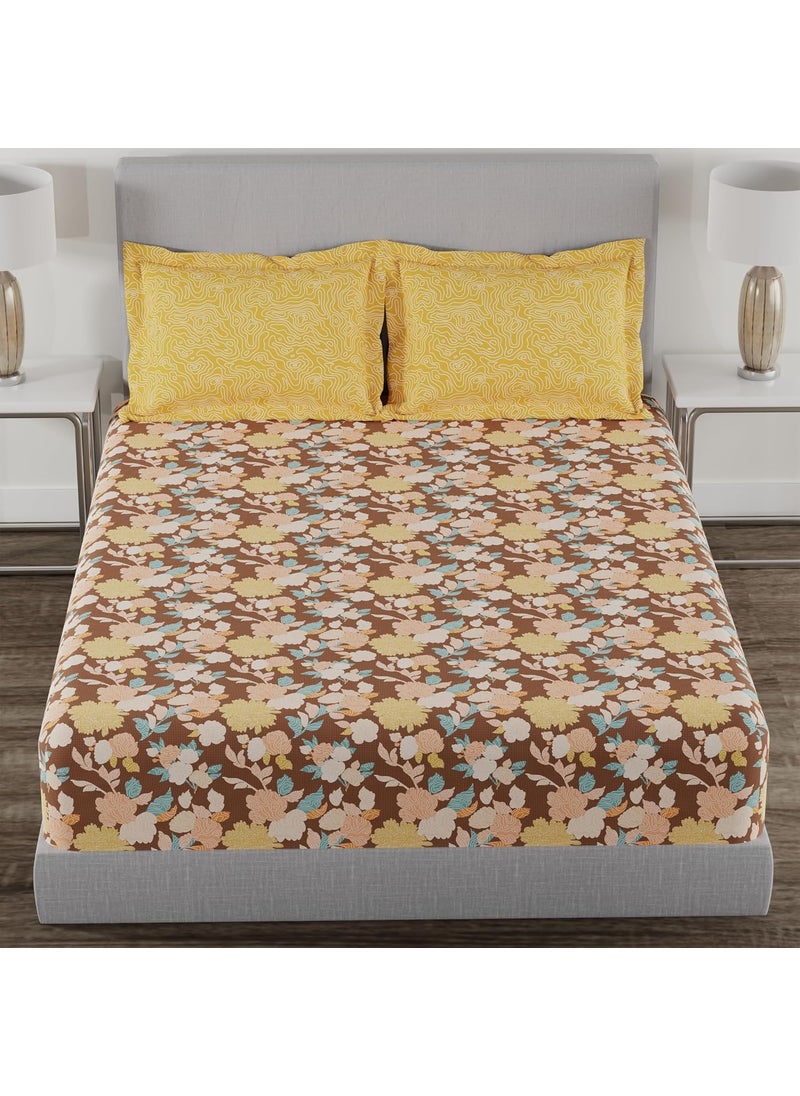 Trident Home Essential Bedsheet 144 Thread Count 100 Cotton Queen Size Bedsheet with 2 Pillow Cover Soft Finish Sheet Set Ella Brown