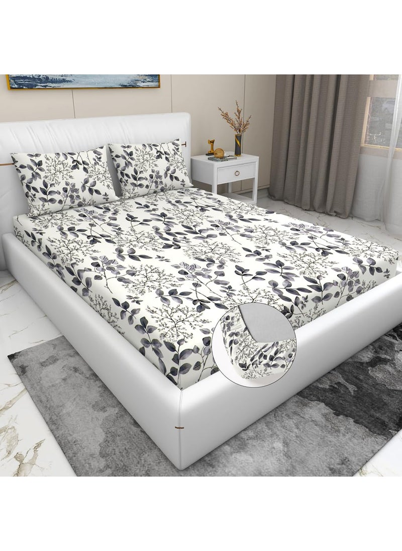 PRINDA Glace Cotton Printed Fitted All Round Elastic Double Bedsheet with 2 Pillow Covers 210 Tc Supersoft Double Bed Off White