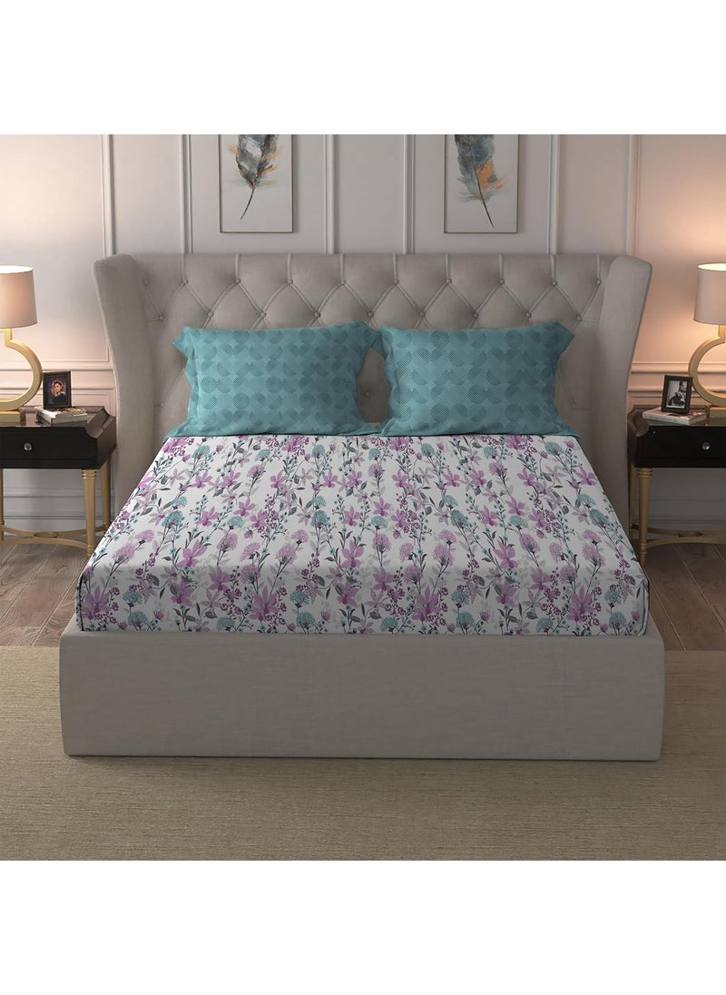 Trident bedsheet for Double Bed 100 Cotton bedsheet 144 TC Queen Size 228 cm x 254 cm bedsheet with 2 Pillow Cover Voila