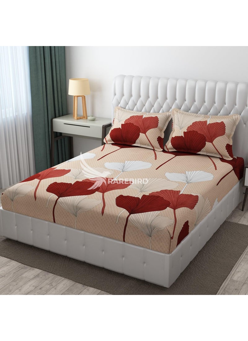 RAREBIRD 100 King Size Glace Cotton Feel 240 Tc All Over Elastic Fitted Size 72x78x8 inch Double Bedsheet with 2 Pillow Covers Color_ Cream Flower