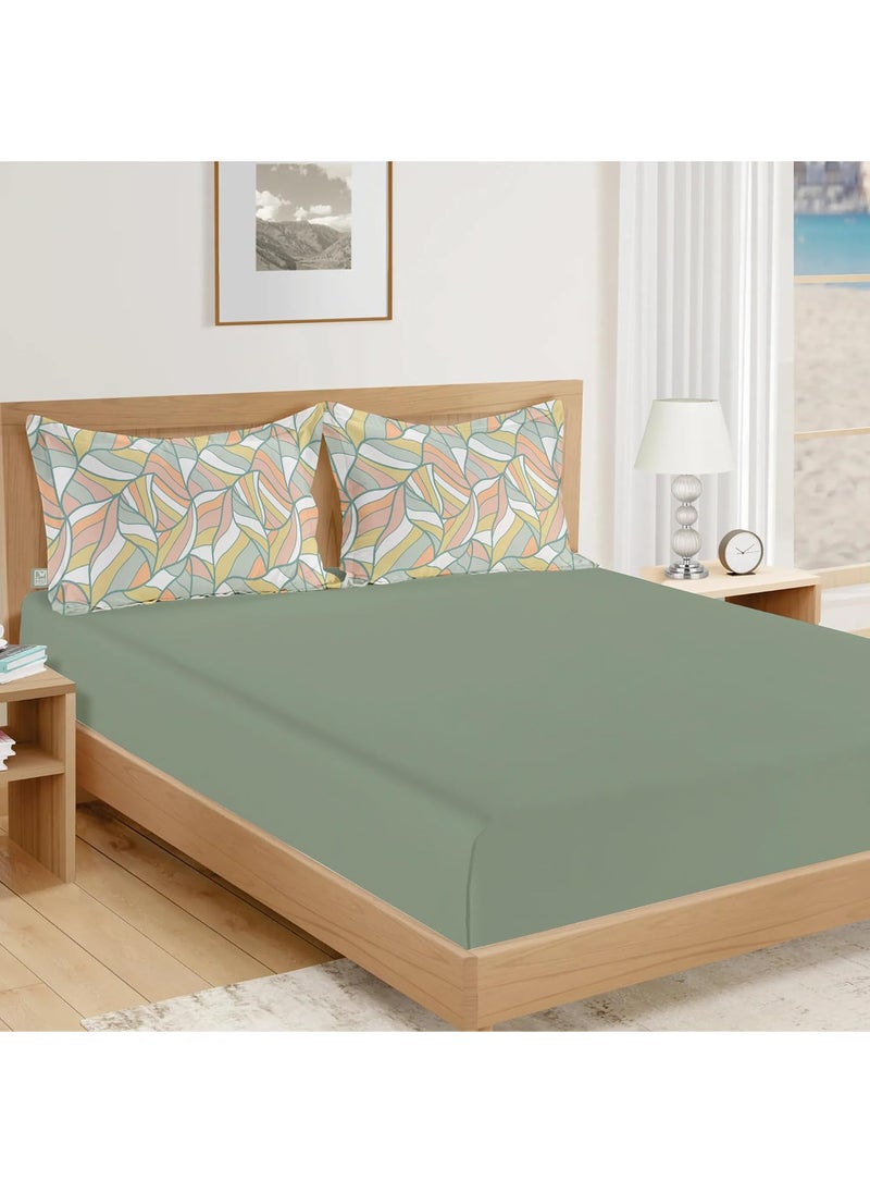 THE WOOD WHITE 100 Fine Poly Microfiber Threads Double Bedsheet Set with Printed 2 Pillow Covers Wrinkle free Breathable Soft Queen Size 90 x 100 Inches or 229 x 254 Cms Fern