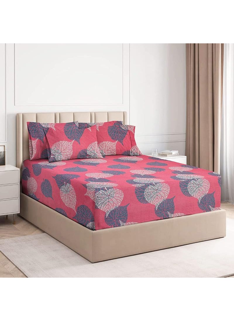 Delight Zone Prime Collection 160 TC Supersoft Glace Cotton King Size Elastic Fitted Double Bedsheet with 2 Pillow Covers Multicolour Size 72 x 78 Inch Pink with Green Leaves 4 Gold Fitted