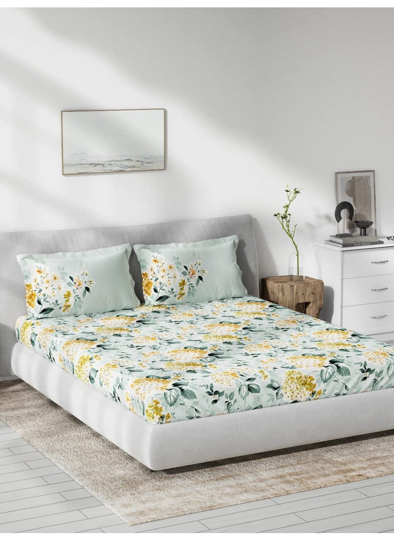 DDECOR Pack of 1 Floral Double Bedsheet with 2 Pillow Covers Multi