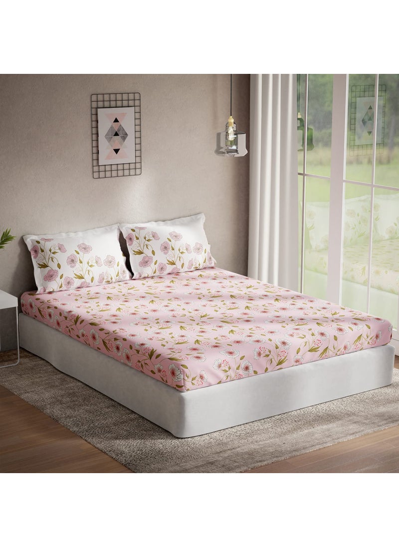 DDECOR Summer Blush 100 Cotton Double Bedsheet with 2 Pillow Covers Pink