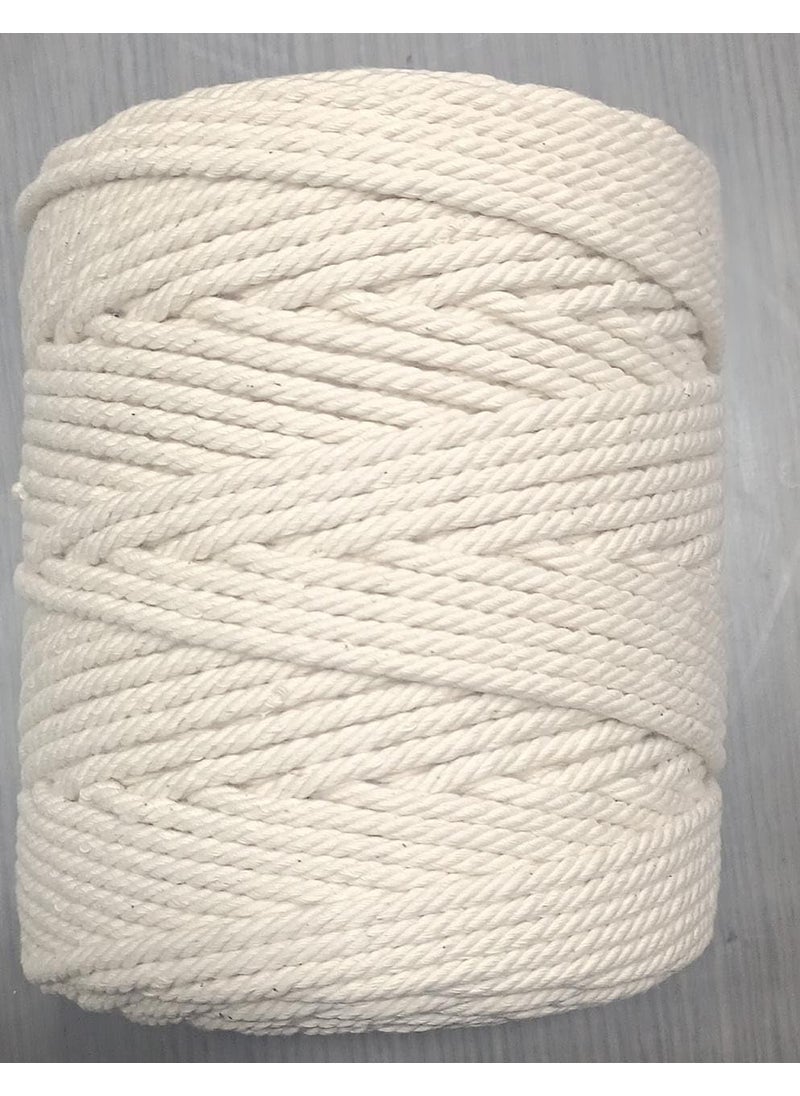 ABB Ropes Niwars Single Strand Twisted Natural Cotton Cord Premium Craft Rope for Plant Hangers DIY Projects Macram Home Dcor Gardening Gift Wrapping 2mm x 200 Meters