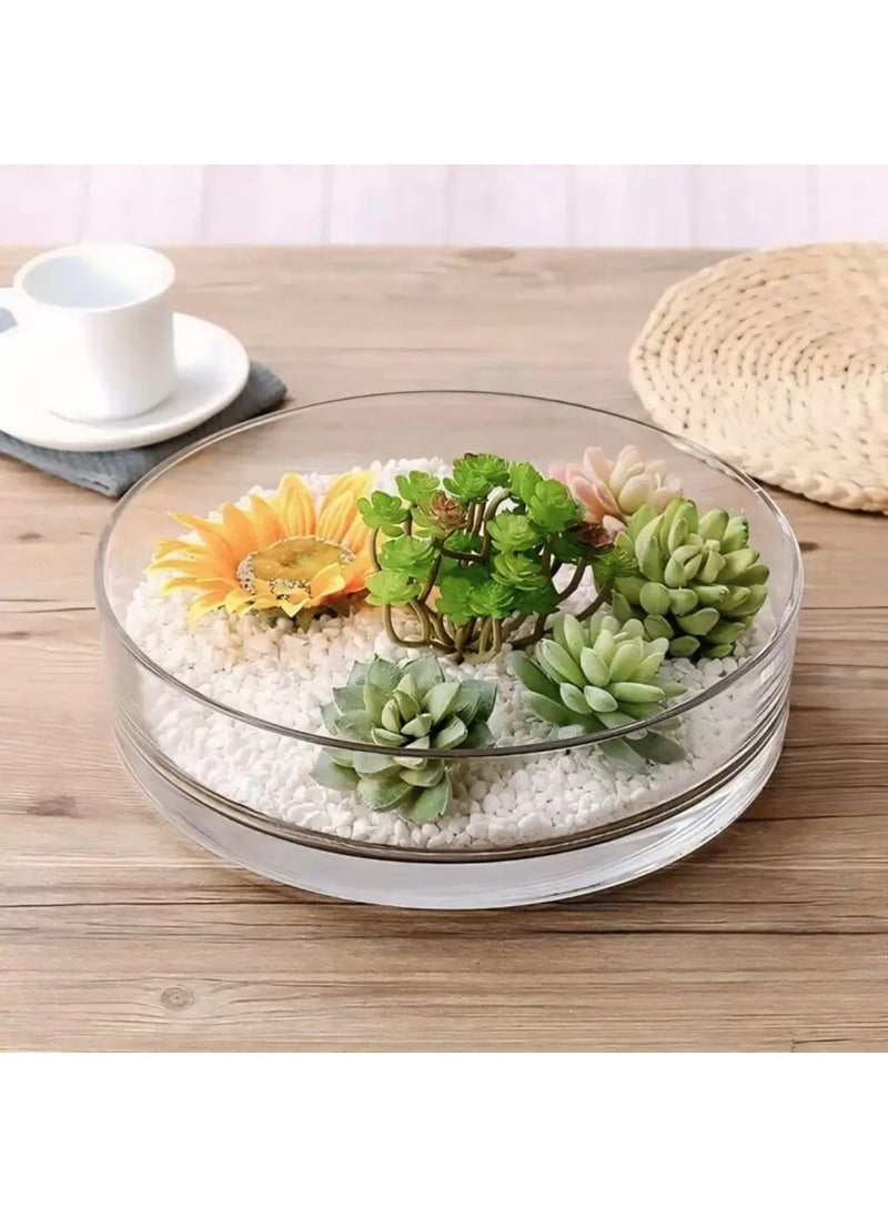 Clovefry Glass THALIDecorative PlatesDecorative THALIGlass Plates 10 Glass Vase 10 inch Transparent
