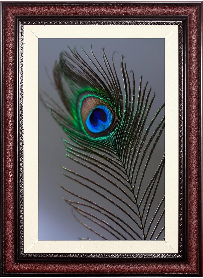 STUDIO AVINASH Vastu Peacock Feather Wall Hanging Framed Photo Without Glass For Home Decor Office Living Drawing and Bed Rooms 14 X 19 Inch