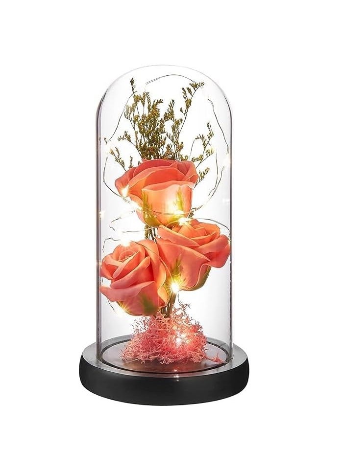 MDS Home Glass Rose Flower Led Light Beauty Beast Rose in Glass Dome Forever Rose Flower Kit Enchanted Galaxy Light Gifts for Women Girls on Valentine Birthday 3 Red Pink Flower