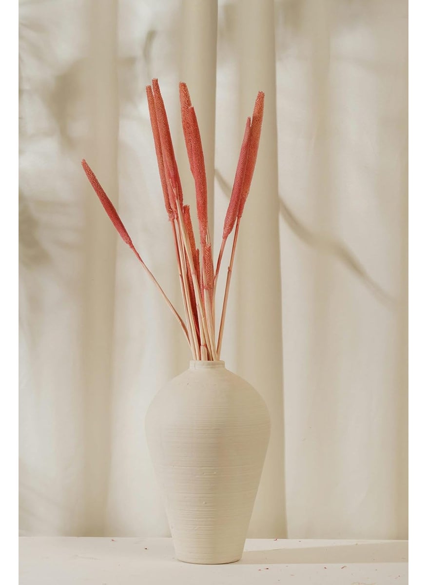 PUREZENTO Potpourri Unscented Pearl Millet White Pink of 5 Stems Dried Flower for Home Decoration Office Bedroom Vase Fillers Wedding Farmhouse Side Corners Parties