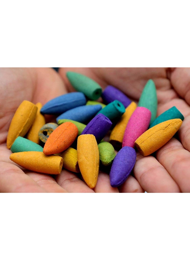 RUDRESHWAR Mixed Backflow Incense Cones 100