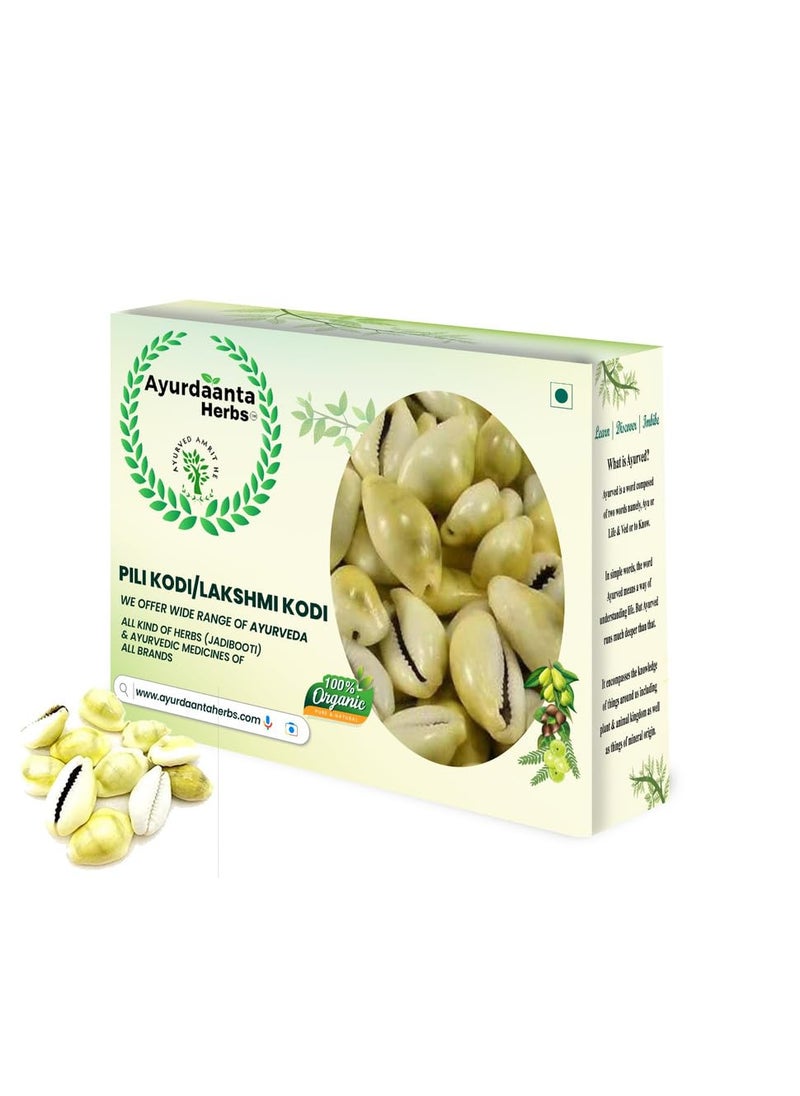 Ayurdaanta Herbs Natural Shell Lakshmi Lakshmi gavvalu Peeli KodiKauriKowriCowryKaudiCowrieGavvaluDiwali Laxmi Poojan Loose Packed Yellow51 pieces