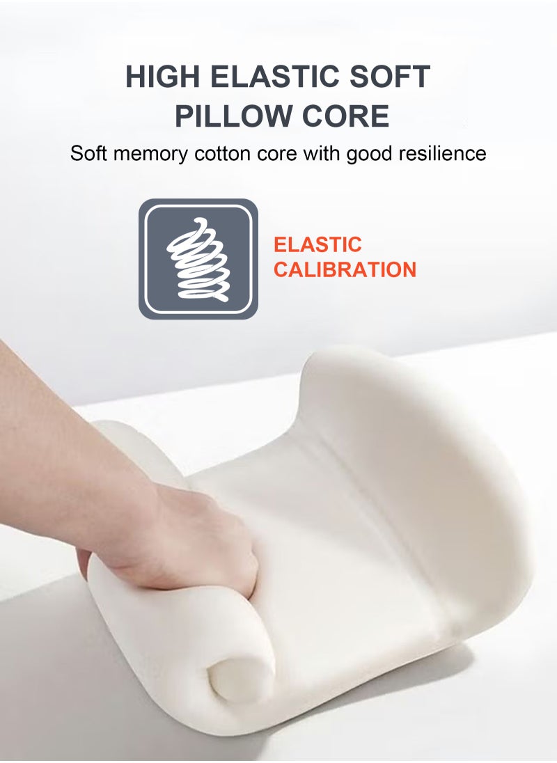 Lumbar Support Pillow for Office Car Back Support Pillow with Memory Foam Pad Back Cushion for Back Pain Relief Improve Posture Cushion
