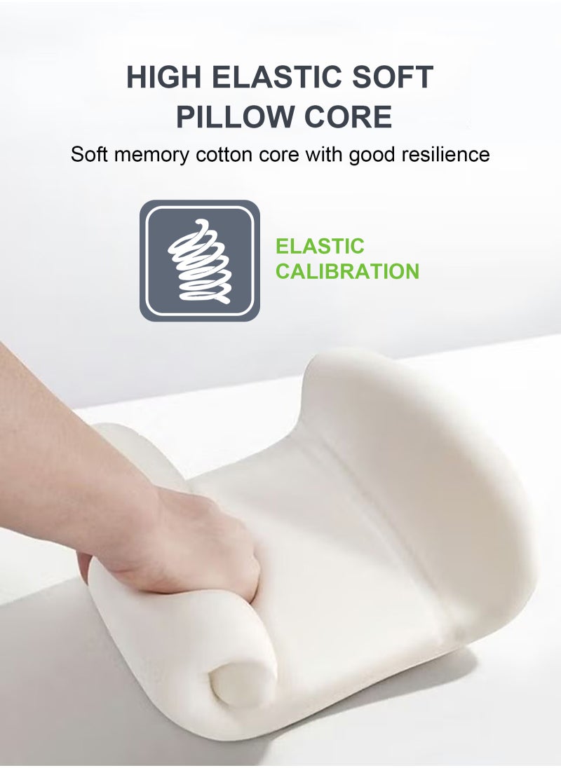 Lumbar Support Pillow for Office Car Back Support Pillow with Memory Foam Pad Back Cushion for Back Pain Relief Improve Posture Cushion