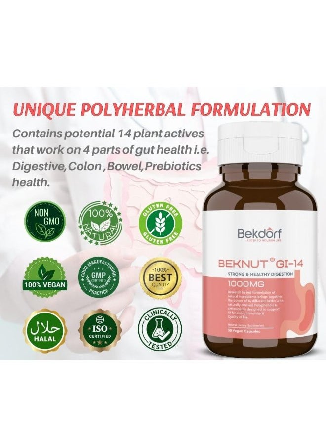 GI-14-Strong & Healthy Digestion-30 Vegan Capsules