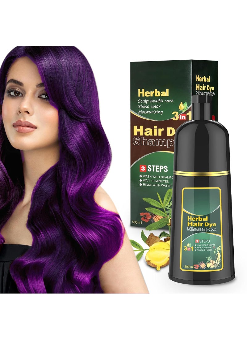 Purple Hair Dye Shampoo - Natural Herbal Color for Gorgeous Colored and Gray Hair, For Women & Men, Salon Coverage, 16.9 Fl Oz