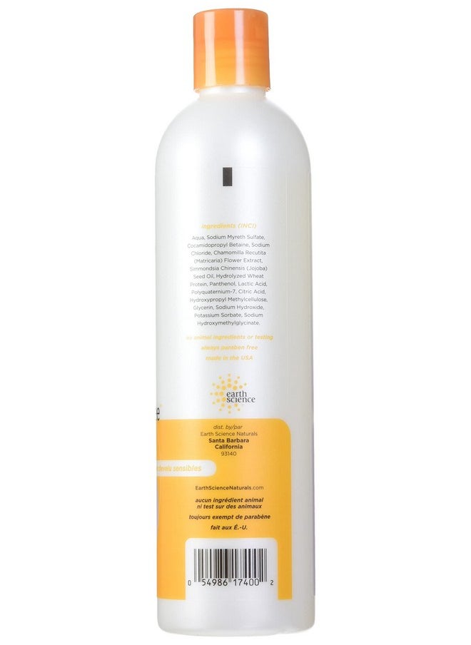 Earth Science Fragrance Free Shampoo, 12-Ounce Bottles (Pack of 3)