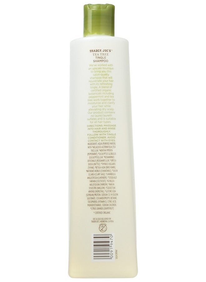 Trader Joe's Tea Tree Tingle Shampoo with Peppermint, Tea Tree and Eucalyptus Botanicals, 16-Ounces