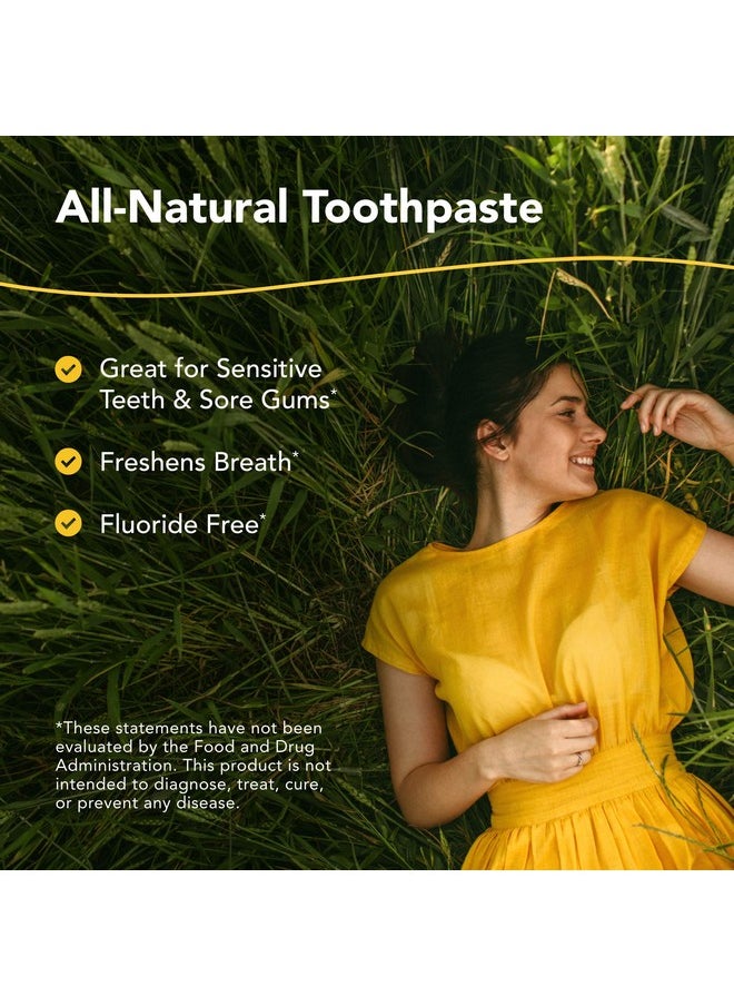 North American Herb & Spice OregaFresh Toothpaste (2 Pack) - 3.4 fl. oz. - Natural Toothpaste - Supports Tooth and Gum Health - Oregano Oil, Clove Oil - Chemical Free, Non-GMO - Total Servings
