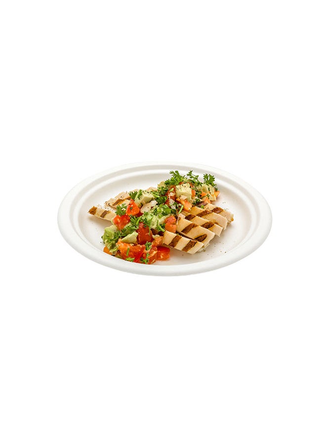 Restaurantware-Pulp Tek 8.7 Inch Eco-Friendly Plates, 100 Medium Disposable Dinner Plates - Made From Natural Sugarcane Fibers, Heavy-Duty, White Bagasse Premium Plates, Sturdy, Round