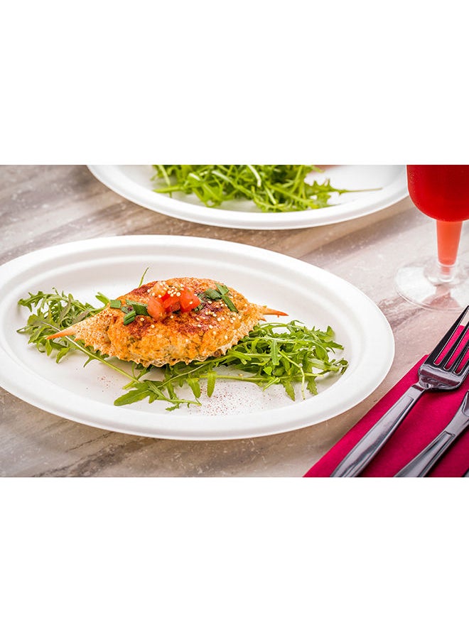 Restaurantware-Pulp Tek 10.4 x 7.8 Inch Eco-Friendly Plates, 100 Medium Disposable Dinner Plates - Made From Sugarcane Fibers, Heavy-Duty, White Bagasse Premium Plates, Sturdy, Oval