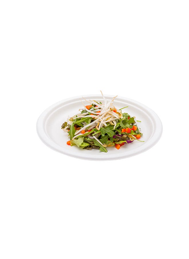 Restaurantware-Pulp Tek 10.3 Inch Eco-Friendly Plates, 100 Large Disposable Dinner Plates - Made From Natural Sugarcane Fibers, Heavy-Duty, White Bagasse Premium Plates, Sturdy, Round