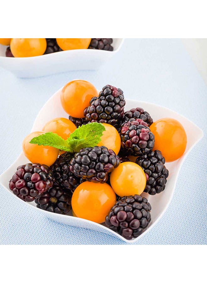 3.3 x 3.3 x 1.4 Inch Dessert Plates, 100 Small Cocktail Plates - Square, Wavy Edges, White Plastic Disposable Appetizer Plates, Holds Entrees, For Wedding, Or Birthday Parties