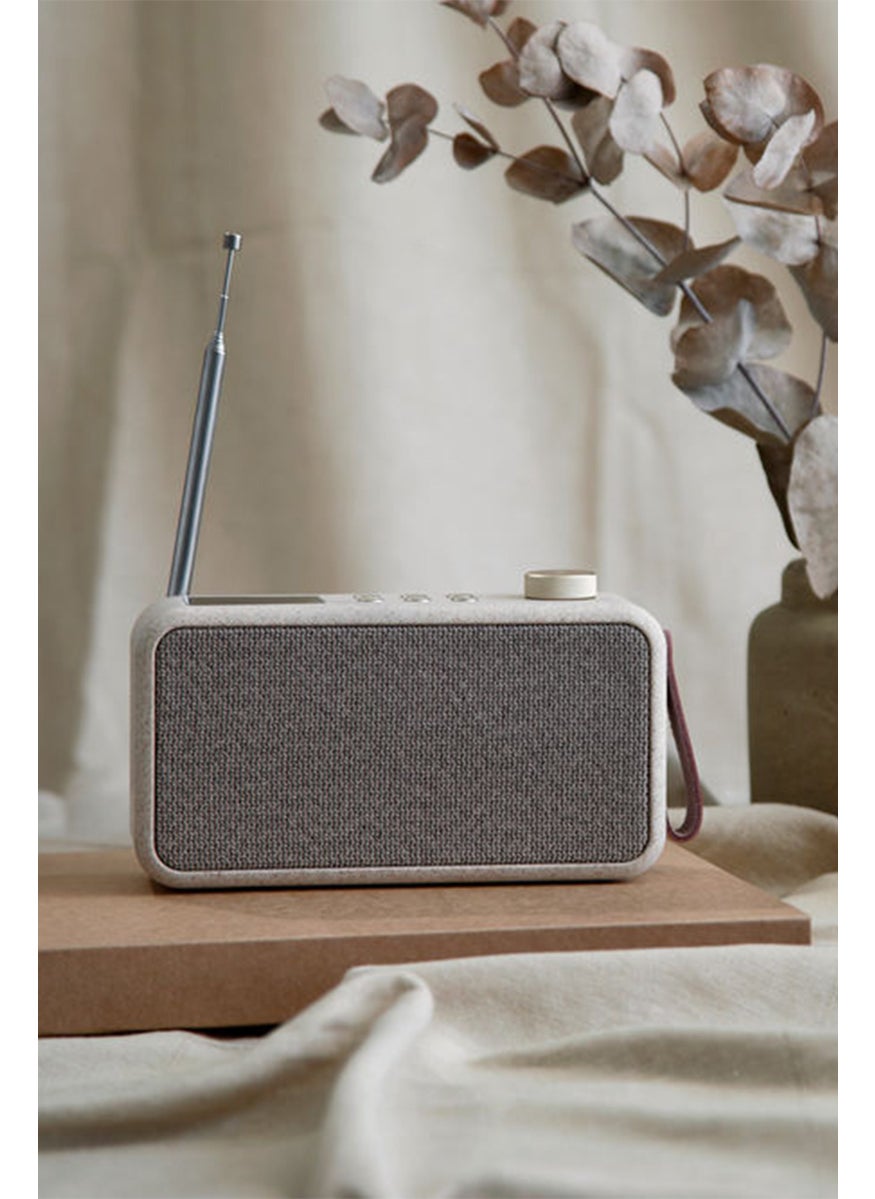 Kreafunk Est 2011 DAB Radio With Bluetooth Speaker, Grey