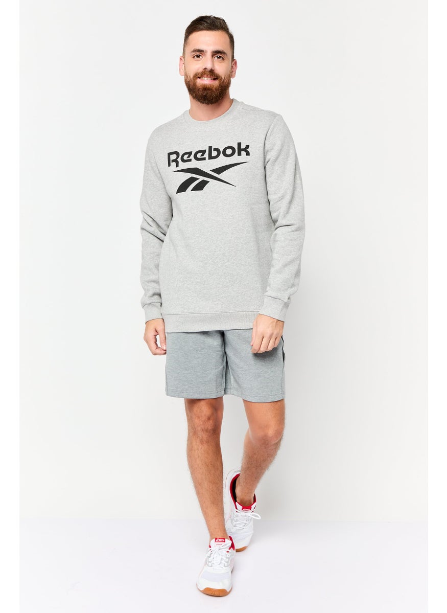 Men Sportswear Fit Long Sleeves Outdoor Sweatshirt, Grey