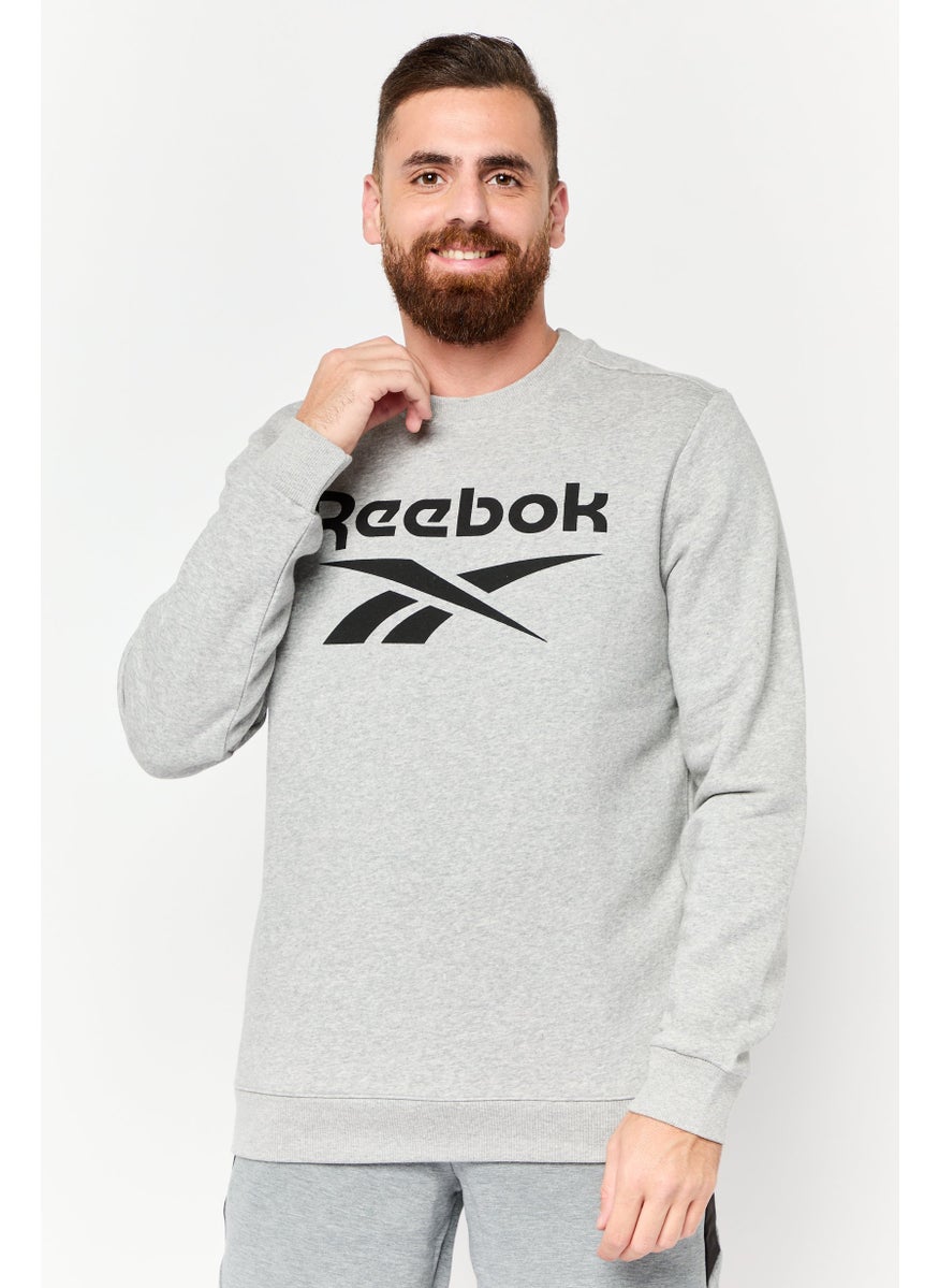 Men Sportswear Fit Long Sleeves Outdoor Sweatshirt, Grey