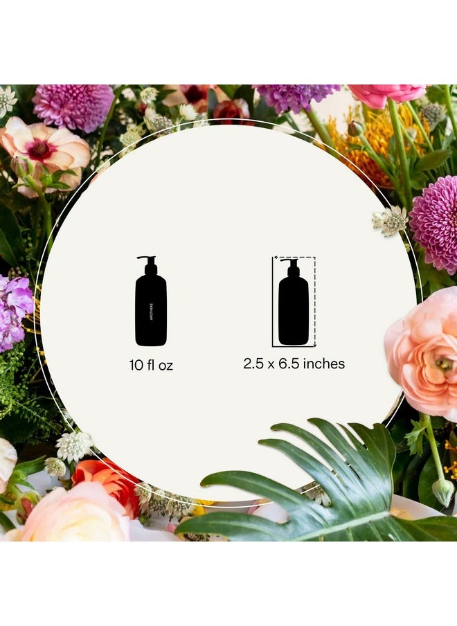 APOTHEKE Liquid Hand Soap, Canvas (10 Fl Oz) - Hydrating Hand Wash with Natural Coconut & Aloe Vera