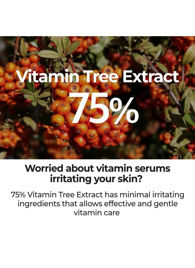 numbuzin No.5 Goodbye Blemish Serum | Blemish Serum for Dark Spots, Acne Scars with Vitamin C, Niacinamide, Antioxidant | Lightweight Gel, Korean Skin Care for Face | 1.69 Fl Oz